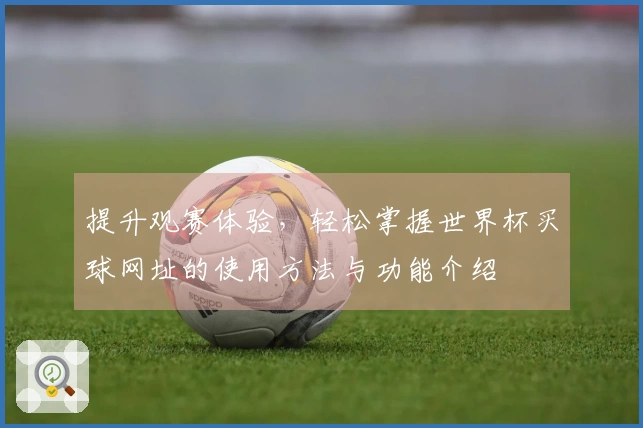 提升观赛体验，轻松掌握世界杯买球网址的使用方法与功能介绍