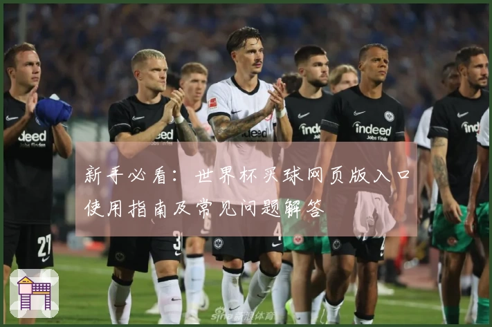 新手必看：世界杯买球网页版入口使用指南及常见问题解答