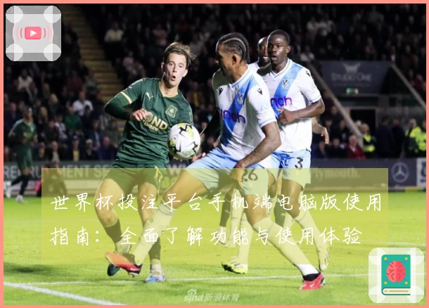 世界杯投注平台手机端电脑版使用指南：全面了解功能与使用体验