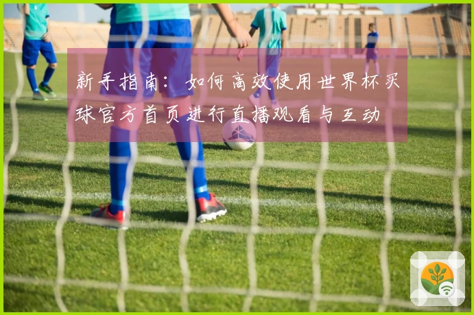 新手指南：如何高效使用世界杯买球官方首页进行直播观看与互动