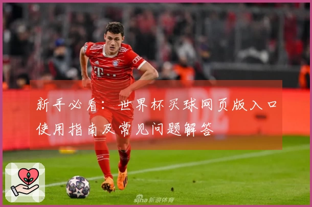 新手必看：世界杯买球网页版入口使用指南及常见问题解答