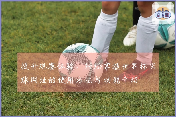 提升观赛体验，轻松掌握世界杯买球网址的使用方法与功能介绍